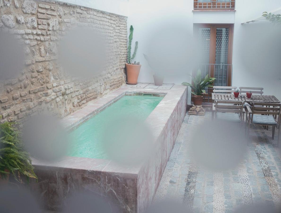 Grupo Limcotel Loft Trigo 13 Piscina 코르도바 외부 사진